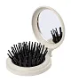 Webrush mirror with hairbrush