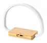Labrum multifunctional desk lamp