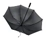Maximus umbrella