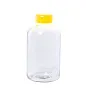 Flaber glass sport bottle