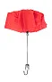 Cirros umbrella
