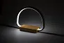Labrum multifunctional desk lamp