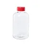 Flaber glass sport bottle