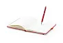 Robin notebook