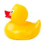 Squack rubber duck