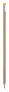 Nancil pencil