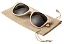 Ornix sunglasses case