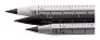 Ruloid inkless pen with ruler