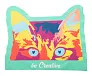 CreaClean glasses cloth