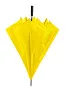 Maximus umbrella