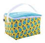 CreaCool 6 custom cooler bag