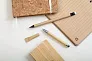 Rapyrus inkless pen