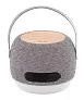 Lumifi charger bluetooth speaker