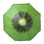 Chaptan beach umbrella