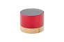 RalooBeat bluetooth speaker