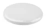 Smooth Fly frisbee