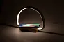 Labrum multifunctional desk lamp