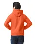  HEAVY BLEND™ ADULT HOODED SWEATSHIRT - Gildan