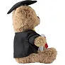  Plush graduation bear