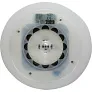  Wireless speaker, ice bucket