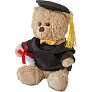  Plush graduation bear