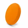 Eoan Frisbee