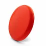 Eoan Frisbee