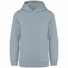 KIDS’ HOODED SWEATSHIRT - Native Spirit