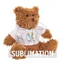 Koolo Plush teddy bear