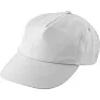  RPET cap