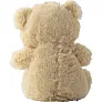  RPET plush teddy bear