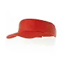  Sun visor