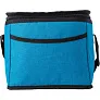  Cooler bag