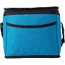  Cooler bag