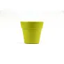  Flower pot, 5-8 petunia seeds and soil