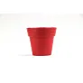  Flower pot, 5-8 petunia seeds and soil
