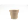  Flower pot, 5-8 petunia seeds and soil