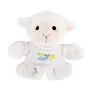 Fraidy Plush sheep, magnet