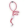  Lanyard