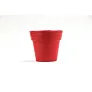  Flower pot, 5-8 petunia seeds and soil