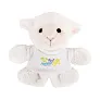 Fraidy Plush sheep, magnet