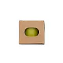  Flower pot, 5-8 petunia seeds and soil
