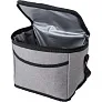  Cooler bag