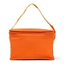  Cooler bag