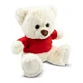 Josh White Plush teddy bear