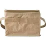  Laminated paper cooler bag