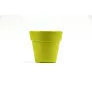  Flower pot, 5-8 petunia seeds and soil