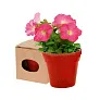  Flower pot, 5-8 petunia seeds and soil