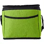  Cooler bag