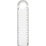  Ruler with loupe and protractor